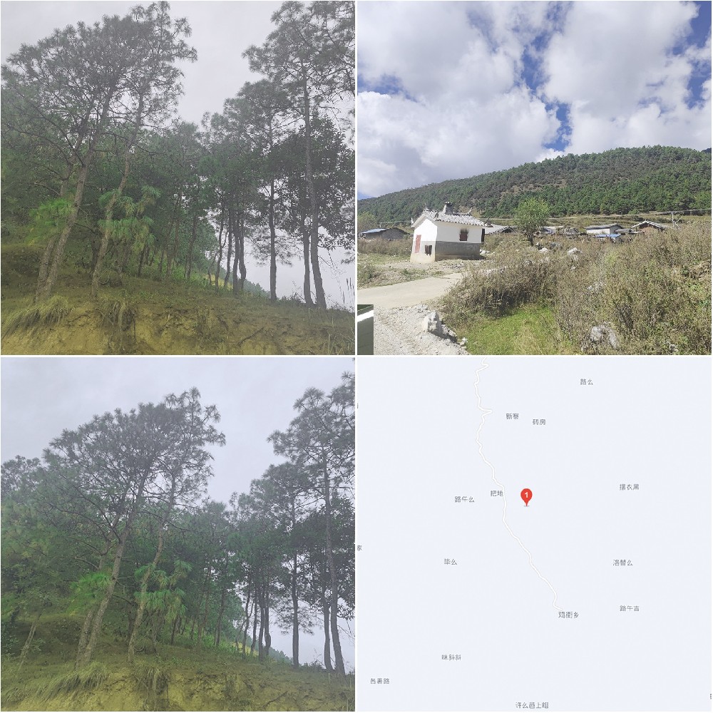 ������Ȩ