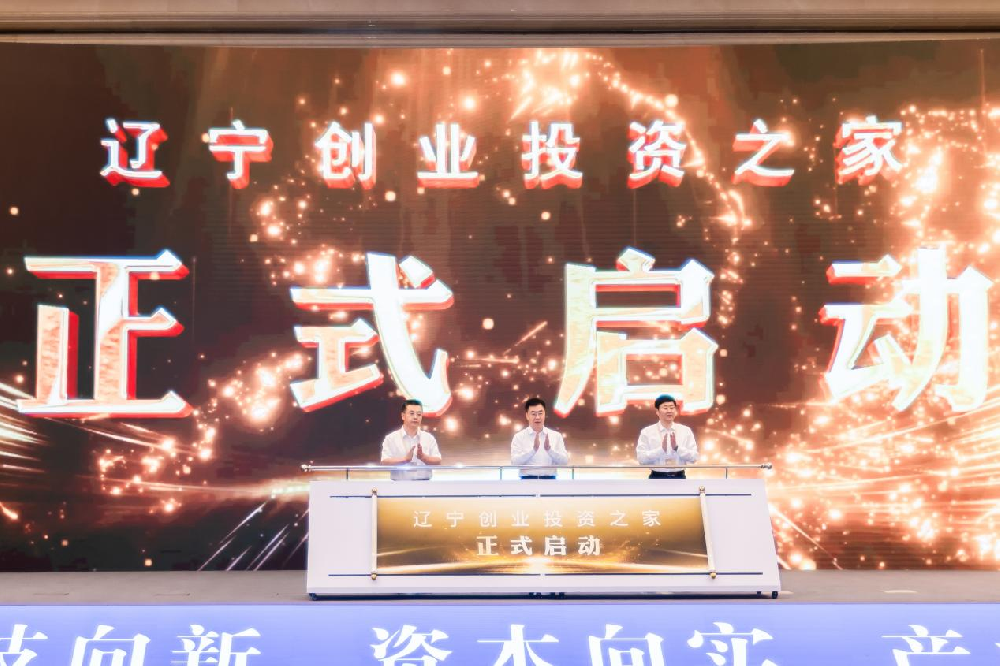 ��������Ͷ�����޹�˾����2025��Ͷ������������ֳɾ���